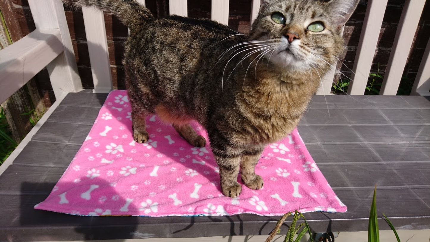 Little Pet Blanket. Dog theme Anti Pill Polar Fleece Fabric with paw and bones prints. Selection of pink or black background