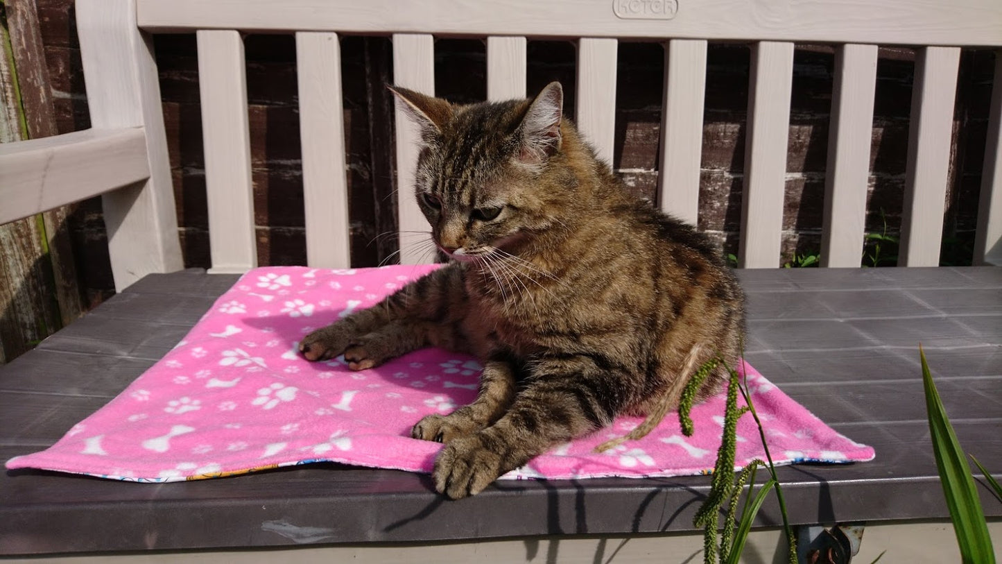 Little Pet Blanket. Dog theme Anti Pill Polar Fleece Fabric with paw and bones prints. Selection of pink or black background