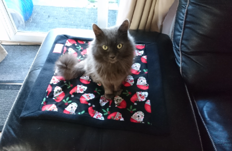 Christmas Sugar Skulls Handmade Pet blanket. Double sided, cotton on one side, black fleece on the back. Personalised. Handmade, soft, comfy.