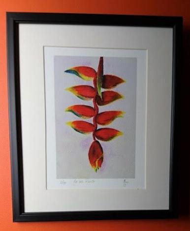 Limited Edition Print "Bird of Paradise" Flower - Heliconia".  Fine Art Giclée print of the Exotic Tropical Flower from my original watercolour painting.